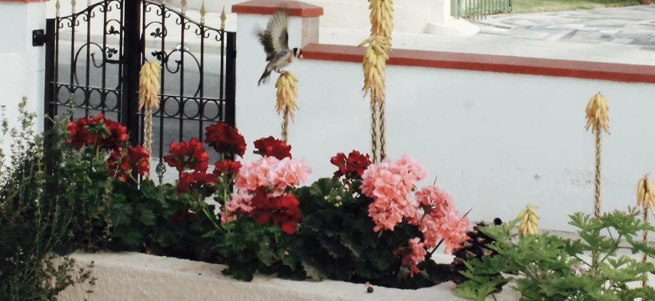 Ithaca Villa Larnaca
