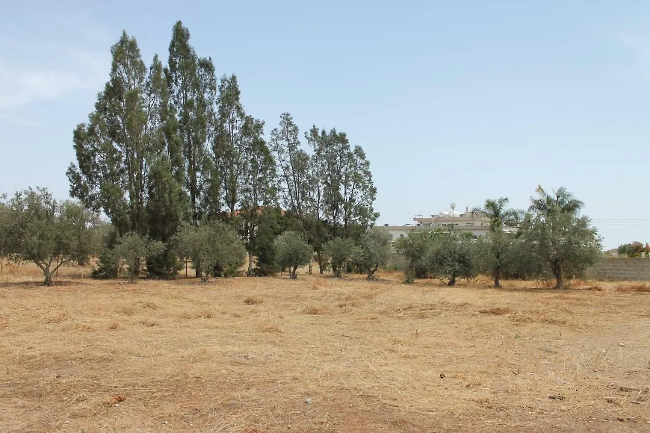 Ithaca Villa Larnaca