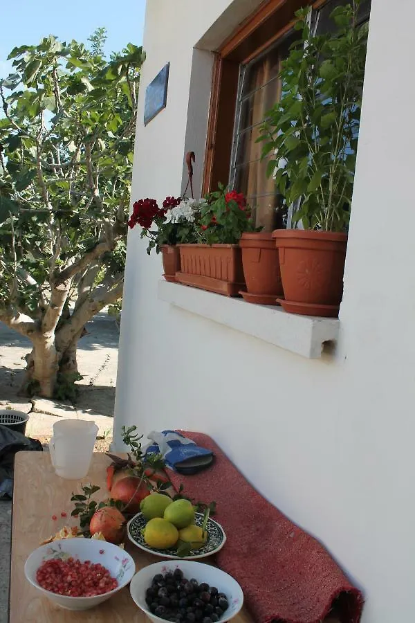 Ithaca Villa Larnaca